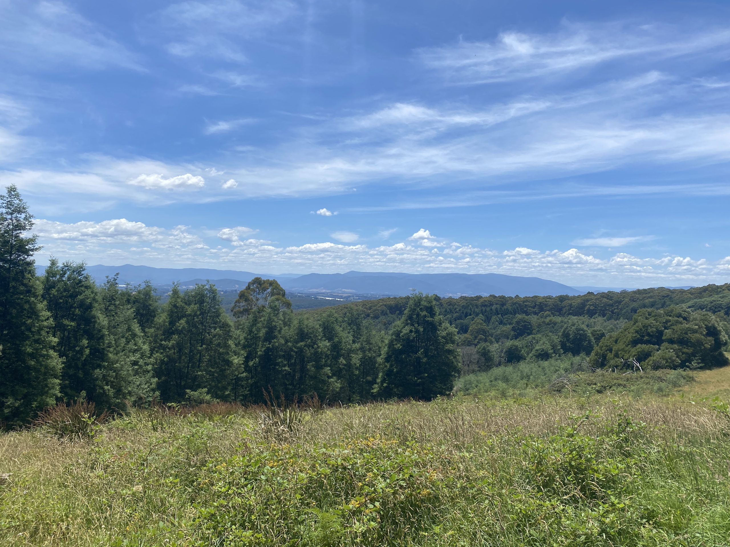 Environment